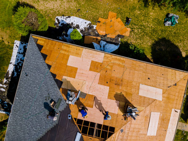 Best Roof Repair Services  in Half Moon, NC