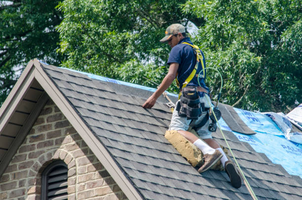 Best Roof Gutter Cleaning  in Half Moon, NC